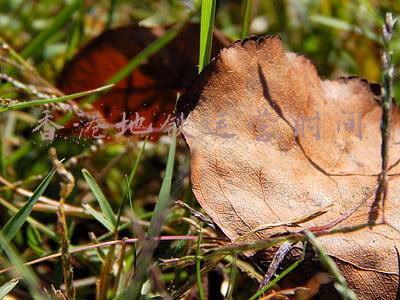 香港地铁运营时间表(注意啦！青岛地铁最新调整！（附时刻表）)