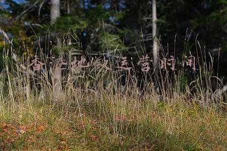 香港地铁运营时间