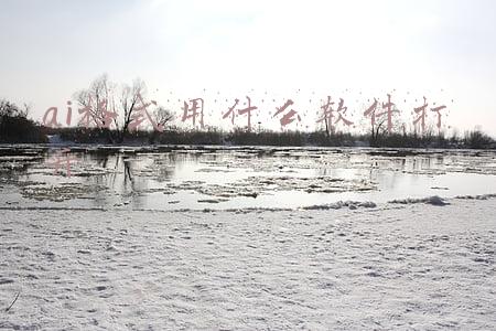 支持打开ai格式的软件(Illustrator（Ai）2022软件下载及安装教程)