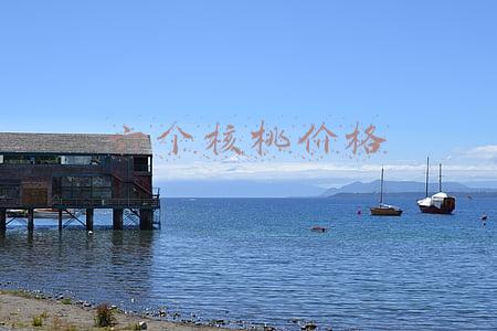 养元六个核桃价格一览表(六个核桃卖不动了？养元饮品净利润连续两年下滑，如何逆转？)