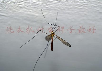 小洗衣机什么牌子最好(私护衣物专属 几款迷你洗衣机产品推荐)