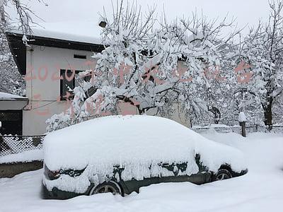 2020年央视元宵节晚会(今日元宵节｜“八月十五云遮月，正月十五雪打灯”是真的吗)
