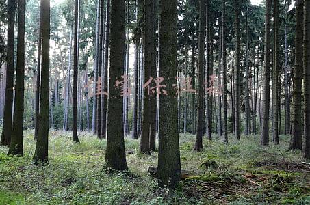 佳雪保湿霜