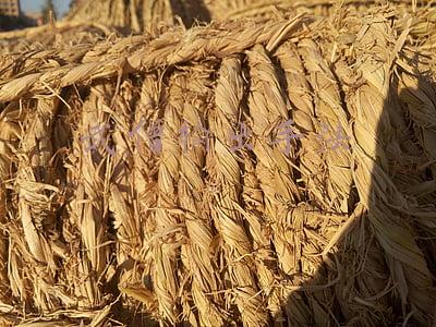 武僧输出手法9.1(《最终幻想14》像木桩一样殴打BOSS 武僧极限输出教学)