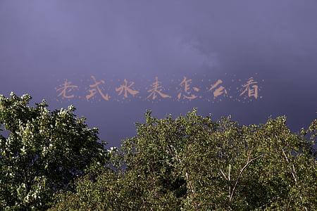 老式水表怎么看