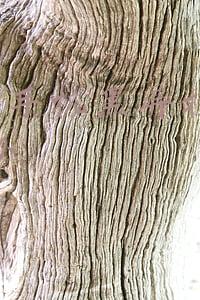 苹果x手机黑屏打不开怎么办