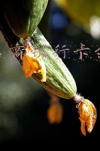 中国工商银行卡余额查询