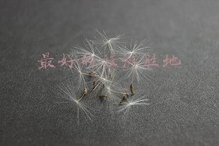 最好的旅游胜地