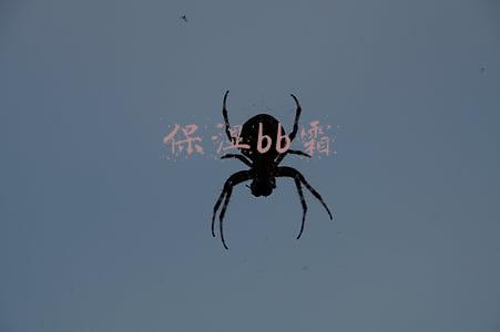 保湿bb霜
