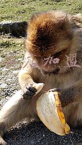 婴欢乐加盟费-婴欢乐加盟费多少