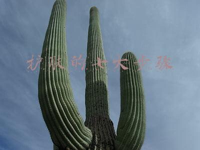 电话邀约的七大步骤(电话邀约小技巧)
