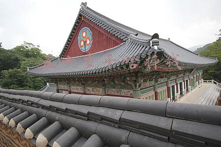 五十岁感怀(五十岁感怀)