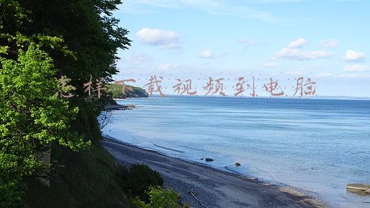 怎样下载视频到电脑