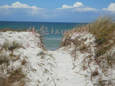 佳能ixus120is