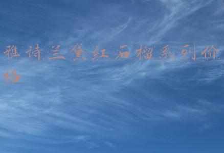 雅诗兰黛红石榴系列价格