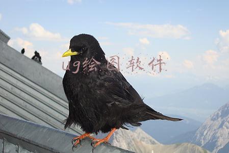 ug是画图软件还是编程软件(数控加工常用软件都有哪些，你了解几种？)
