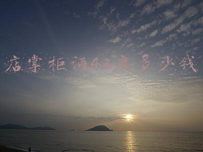 掌柜酒价格(河北店掌柜酒价格)