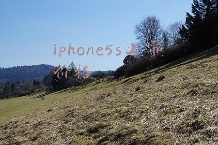 iphone5s拆解工具(iPhone5S拆机图解教程-真机拆解)