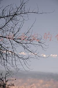 挽回女朋友的信(分手了怎么挽回女朋友？诚恳认错，用行动打动对方，接纳自己)