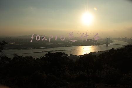 foxpro是什么