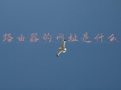 路由器的网址是什么
