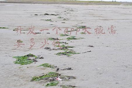 制作app平台需要多少钱(开发一款直播app需要多少钱？)