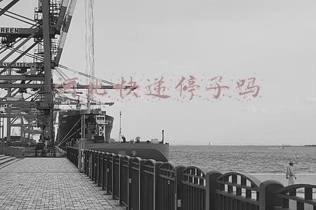 河北快递停了吗