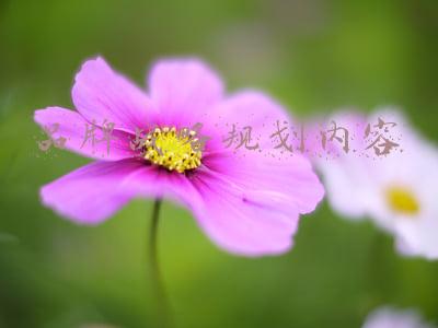品牌战略规划内容模块(孙武战略咨询机构服务内容之：商业模式设计与营销规划)