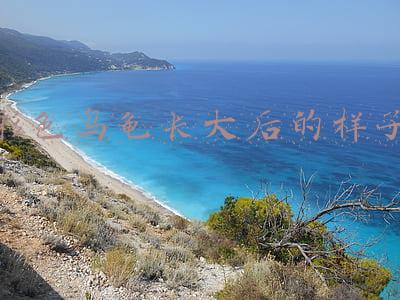 彩色乌龟长大后的样子