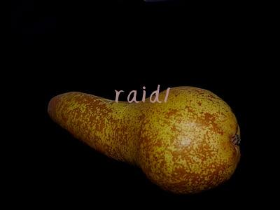 raid1