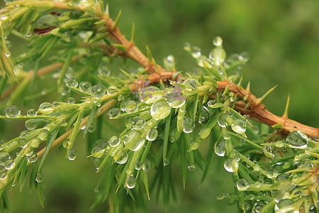 渠道销售(年薪460万销售总监，总结渠道销售的五个实用技巧与8个成交步骤)