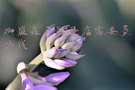 怎样加盟森马专卖店-森马加盟电话