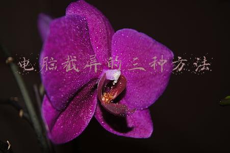 台式电脑截屏的三种方法(电脑隐藏的6种截图方法，看你知道几个？)
