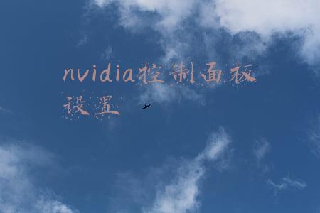 nvidia控制面板设置