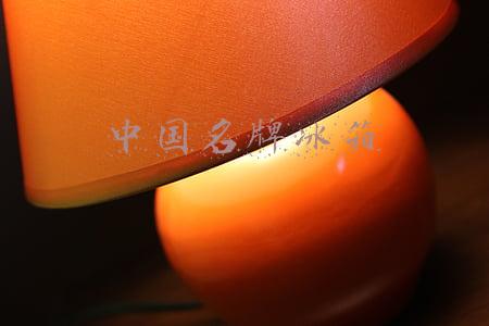 中国名牌冰箱