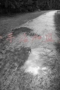 沈阳一手房限购政策：沈阳一手房
