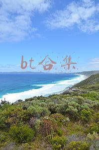 bt合集1024(种子节1024.torrent)