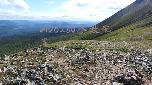 vivox60参数配置