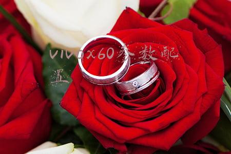 vivox60参数配置表(卡尔蔡司重现，VIVO X60系列降临（文末附最全参数表）)