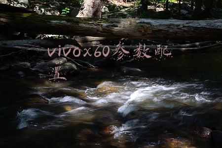 vivox60参数配置