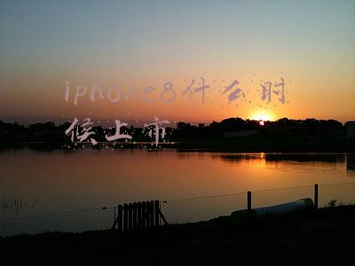 iphone8什么时候上市