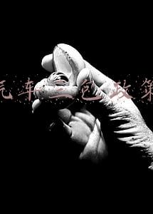 汽车三包政策
