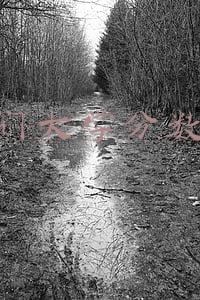 澳门大学分数线
