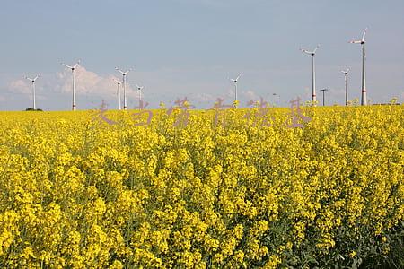 麦当劳肯德基