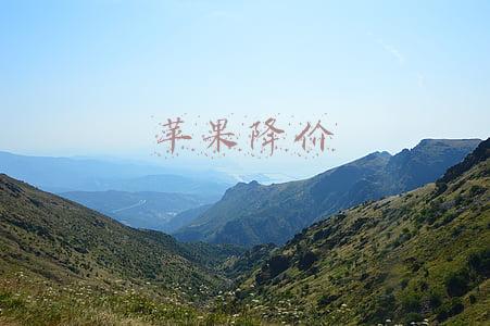 苹果降价