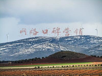 网络口碑营销的成功案例(问答评论口碑营销案例｜XX理工出国留学项目)