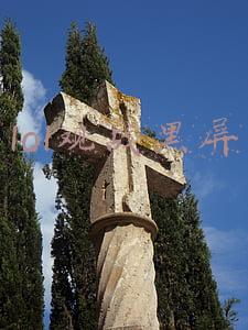 lol观战黑屏