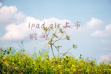 ipad air上市时间