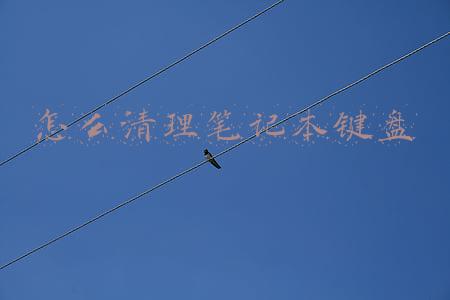 怎么清理笔记本键盘缝隙的灰尘(清理键盘小妙招，灰尘杂质全部清除，简单一步到位！)