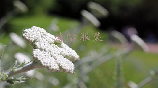 嘻哈服装效果图(插画丨街头嘻哈少女的潮牌街拍，干净的笔触明亮的色调，每个场景都太有感觉了)